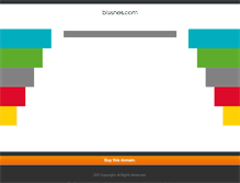 Tablet Screenshot of bissnes.com